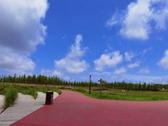 -春花秋色城市公园