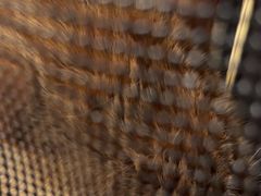 -瑞鹏瑞爱宠物医院·全科·猫科·血液透析中心(龙头寺店)