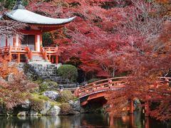 -醍醐寺