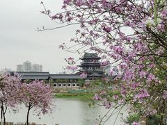-海珠湖公园
