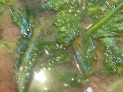 -玛禄藏膳(五分店)