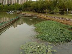 -桐乡植物园