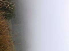 -灵山