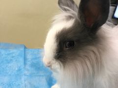 -美迦爱-牙专科·兔科·骨科诊疗中心(北苑店)