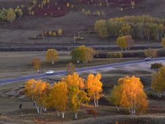 -塞罕坝国家级自然保护区