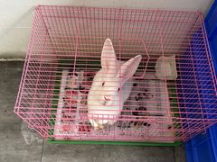 -岳合轩老北京涮肉