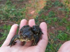 -共青国家森林公园-售票处