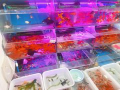-曲阳花鸟市场(曲阳路店)