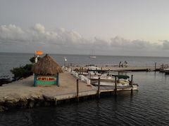 -Wahoo's Seafood Bar and Grill Restaurant