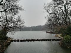 -紫霞湖公园