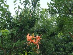 -陶祖圣境风景区