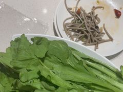 -蝎王府羊蝎子(北大地店)