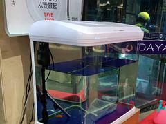 -大鸭梨(天通西苑店)