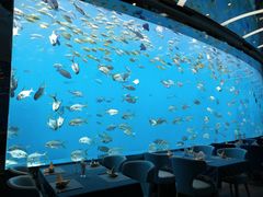 -瑞德姆美人鱼海底演艺主题餐厅(亚龙湾店)
