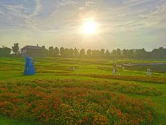 -花博汇(知音花月夜)
