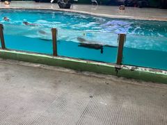 -广州长隆飞鸟乐园