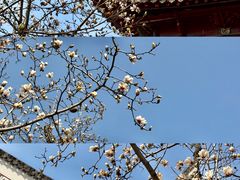 -长春观