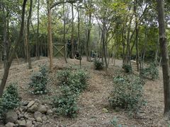 -南京市江宁方山