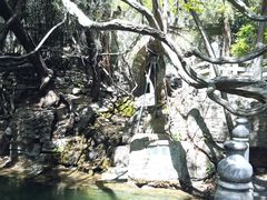 -四门塔风景区