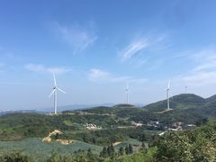 -齐岳山