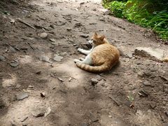 -终南山南五台景区