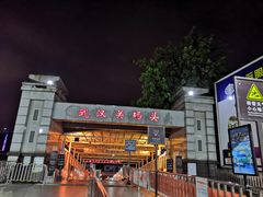 -武汉关码头(轮渡站)