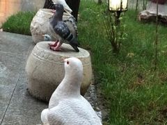 -云龙山庄