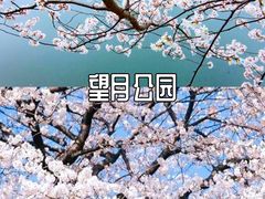 -橘子洲景区