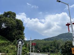 -黄埔油麻山森林公园