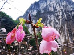 -南溪山景区