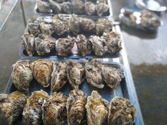 -蚝专家(北滘店)