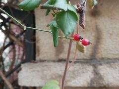 -酒宝荡烧烤(长航局江大路住宅小区店)