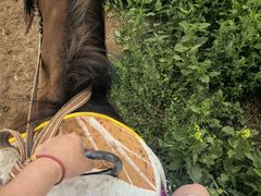 -扁都口生态休闲旅游区