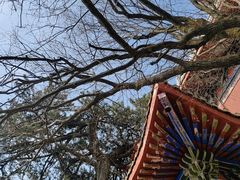 -终南山南五台景区