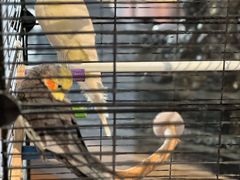 -阜昌典当行(阜成门店)