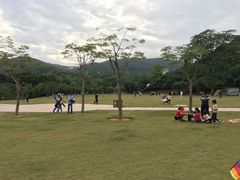 -大屏嶂森林公园