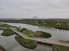 -春花秋色城市公园