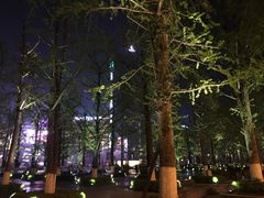 -百林公园-两江幸福广场
