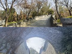 -朴园