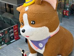 -新光里
