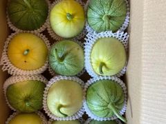 -南汇新场正宗水蜜桃采摘