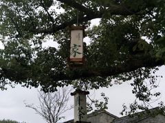 -东钱湖旅游度假区