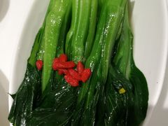 宁夏菜心-有心德(隆生店)