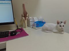 -全心全意动物诊疗中心医院(北苑店)