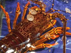 -海鲜城大家餐厅
