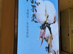 -Purcotton全棉时代(壹方城购物中心店)