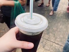 -罗汉果龙眼冰糖燉冬瓜