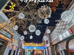 -龙湖星悦荟(颐和店)