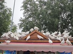 -天津妈祖文化园