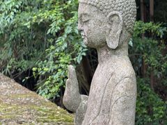 -鹿野苑石刻艺术博物馆